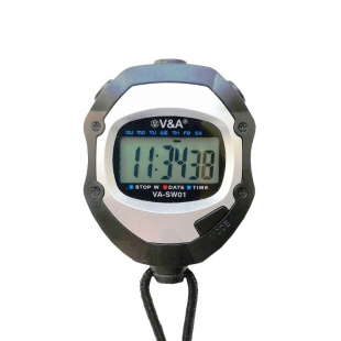 VA-SW01 (� ��������)